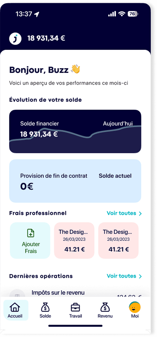 Optimizing professional expense entry